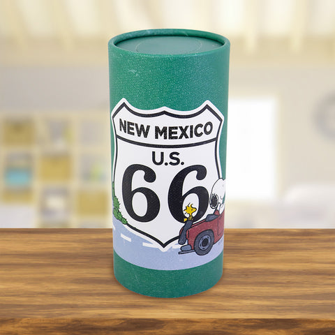 Pañuelos Desechables en Bote color Verde, New Mexico, Snoopy
