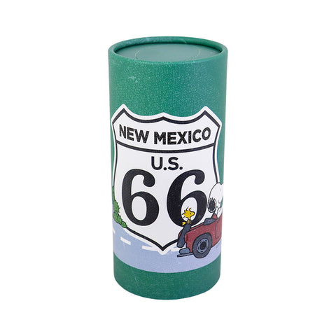 Pañuelos Desechables en Bote color Verde, New Mexico, Snoopy