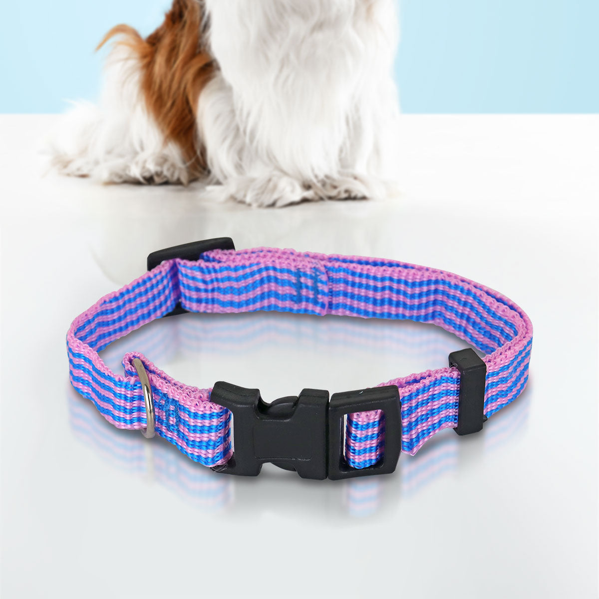 Collar Ajustable color Rosa con Azul para Mascota