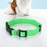 Collar Ajustable para Mascota, color Verde