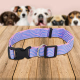 Collar Ajustable para Mascota