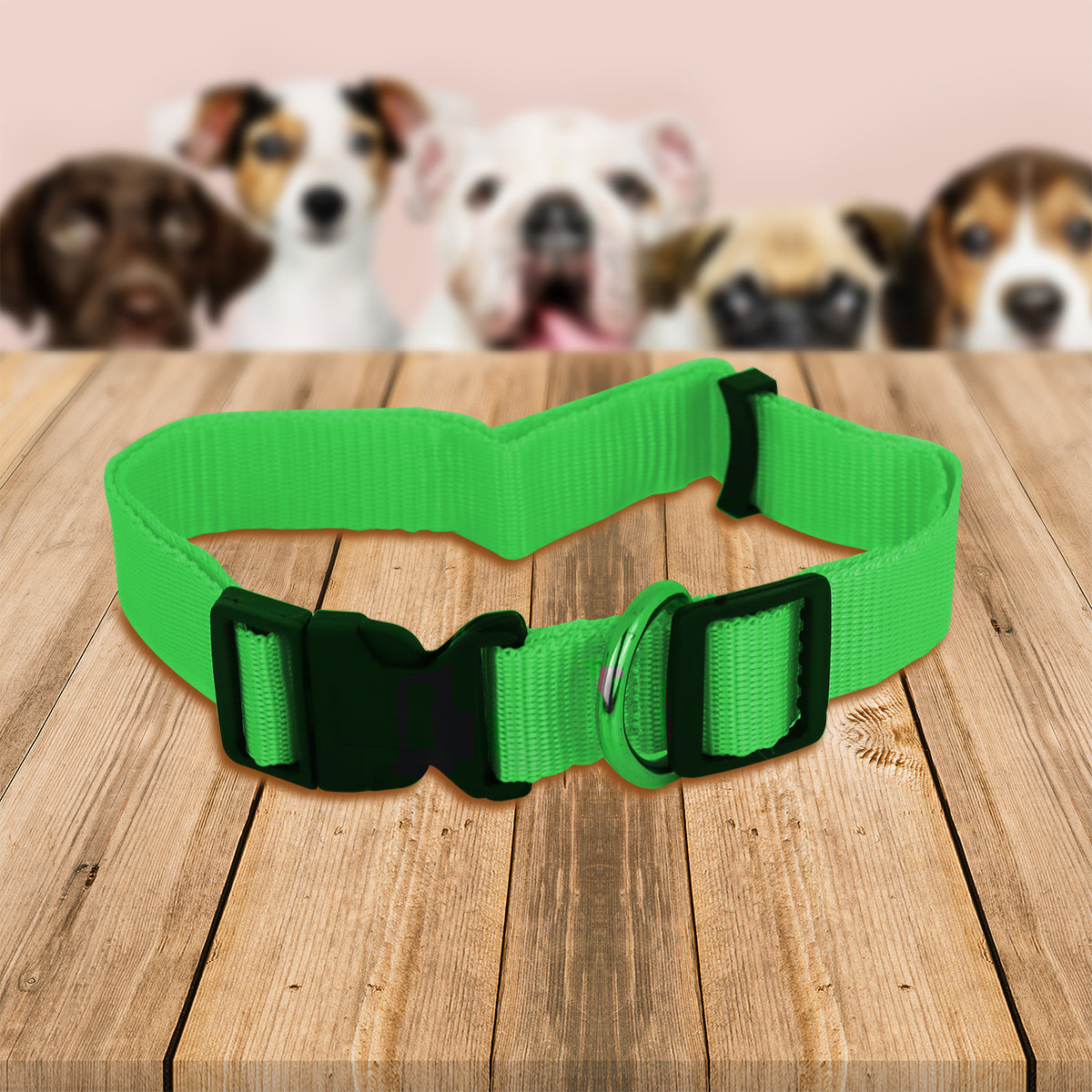 Collar Ajustable para Mascota