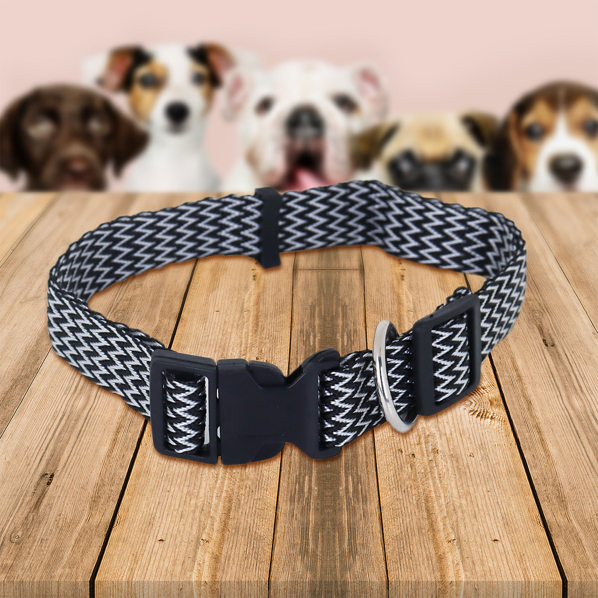 Collar Ajustable para Mascota