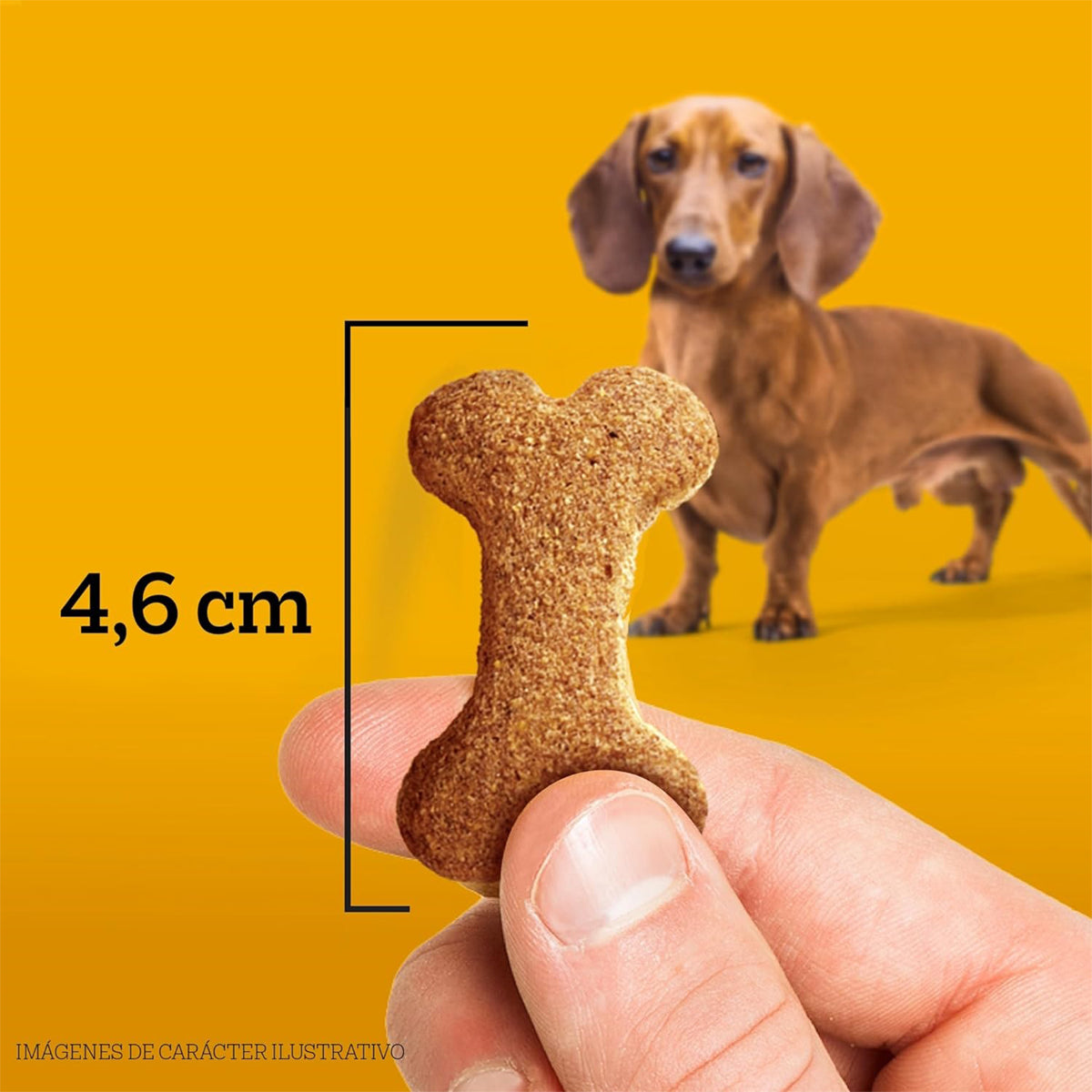 Pedigree Biscrok Snack para Perros Adultos, 100gr.