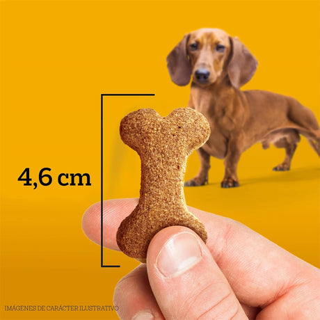 Pedigree Biscrok Snack para Perros Adultos, 100gr.