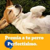 Pedigree Biscrok Snack para Perros Adultos, 100gr.