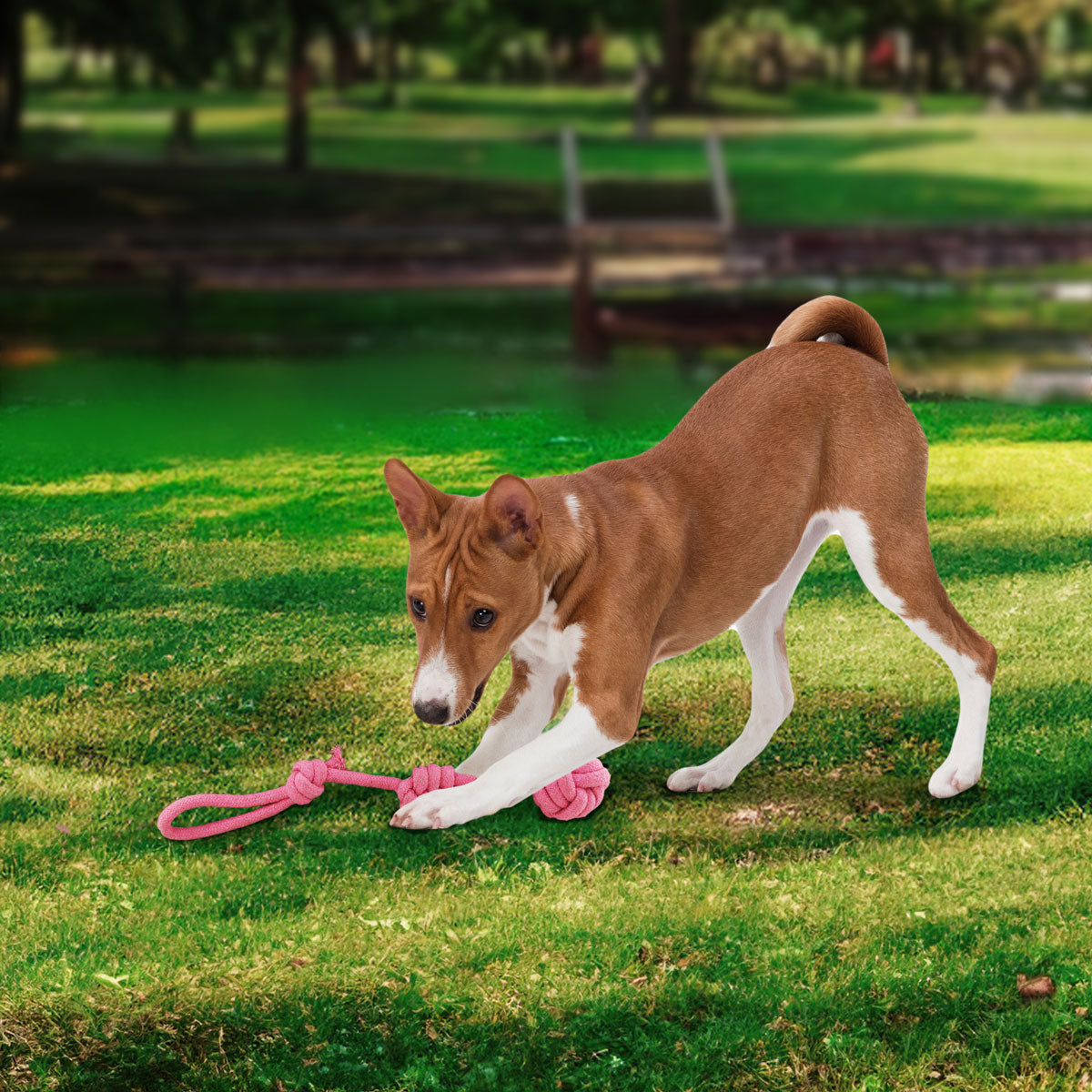 Juguete de Cuerda para Perro, color Rosa