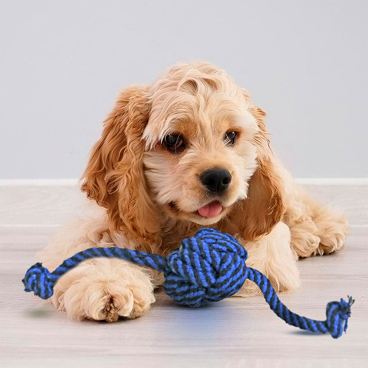 Juguete de Cuerda con Nudo para Mascota, color Azul