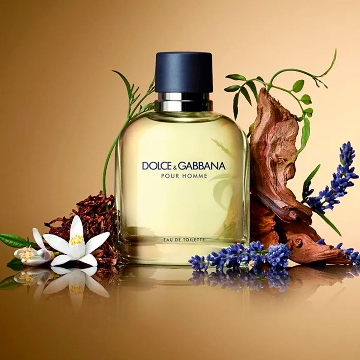 Dolce & Gabbana para Hombre 125ml