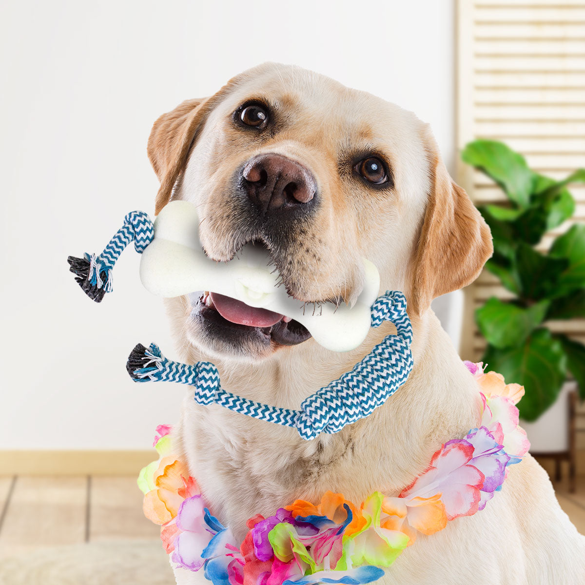 Juguete en Forma de Hueso con Cuerda para Mascota, color Azul