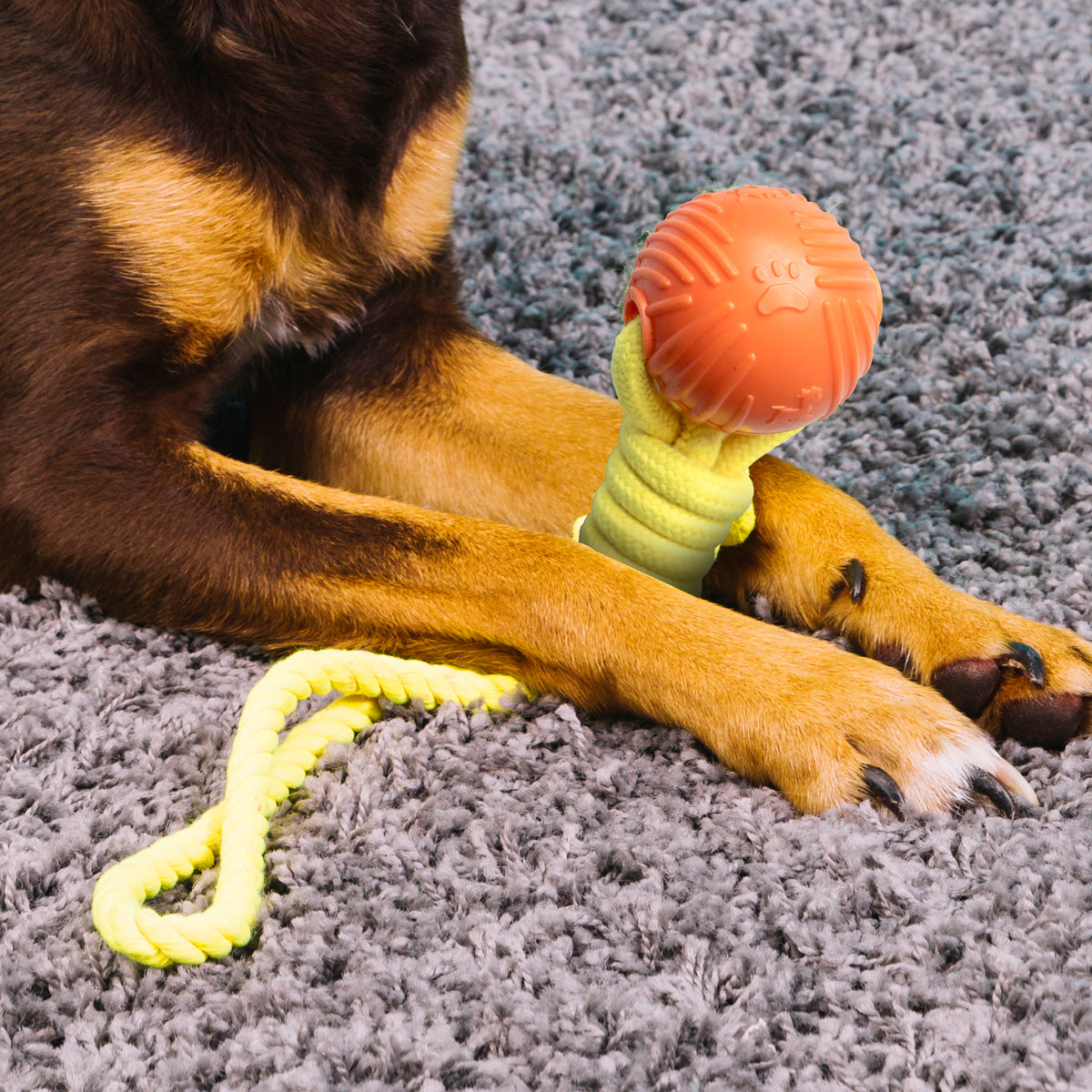 Juguete de Cuerda para Mascota con Pelota