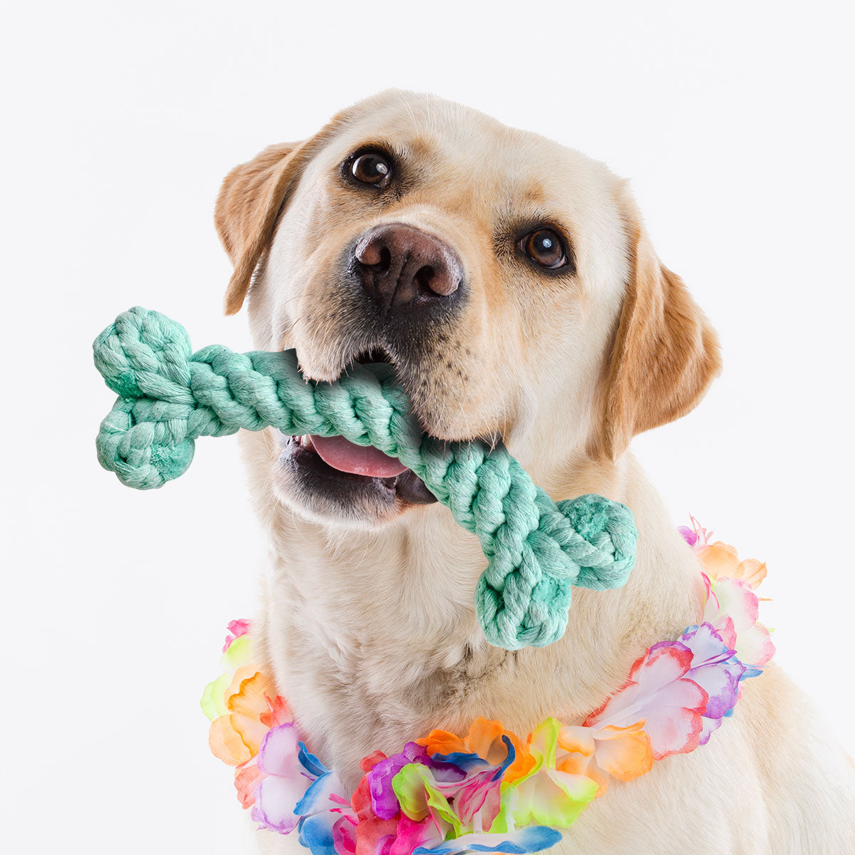 Juguete para Mascota en Forma de Hueso