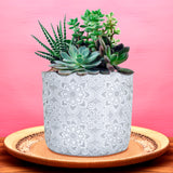 Maceta Decorativa de Yeso color Gris