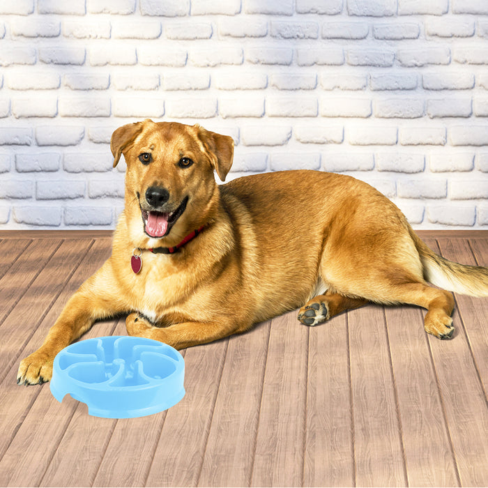 Tazón para Perro de Alimentación Lenta Tazón para Perro de Alimentación Lenta