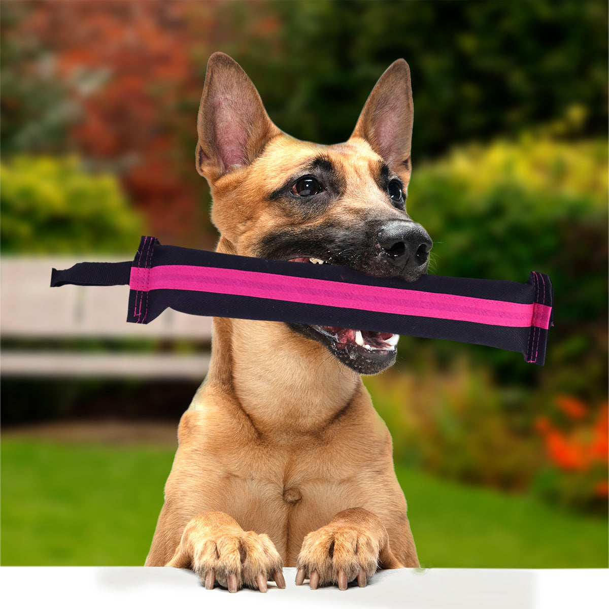 Juguete color Negro Fucsia con Agarradera para Mascota