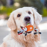 Juguete de Cuerda color Rojo para Mascota con Pelota de Tenis