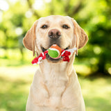 Juguete de Cuerda color Rojo para Mascota con Pelota de Tenis