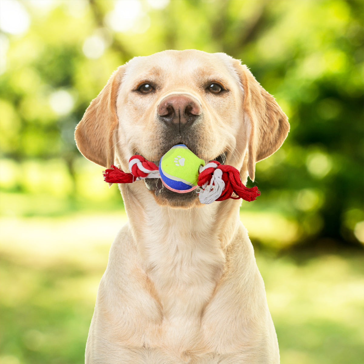 Juguete de Cuerda color Rojo para Mascota con Pelota de Tenis