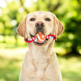 Juguete de Cuerda color Rojo para Mascota con Pelota de Tenis