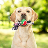 Juguete de Cuerda color Rosa con Negro para Mascota con Pelota de Tenis