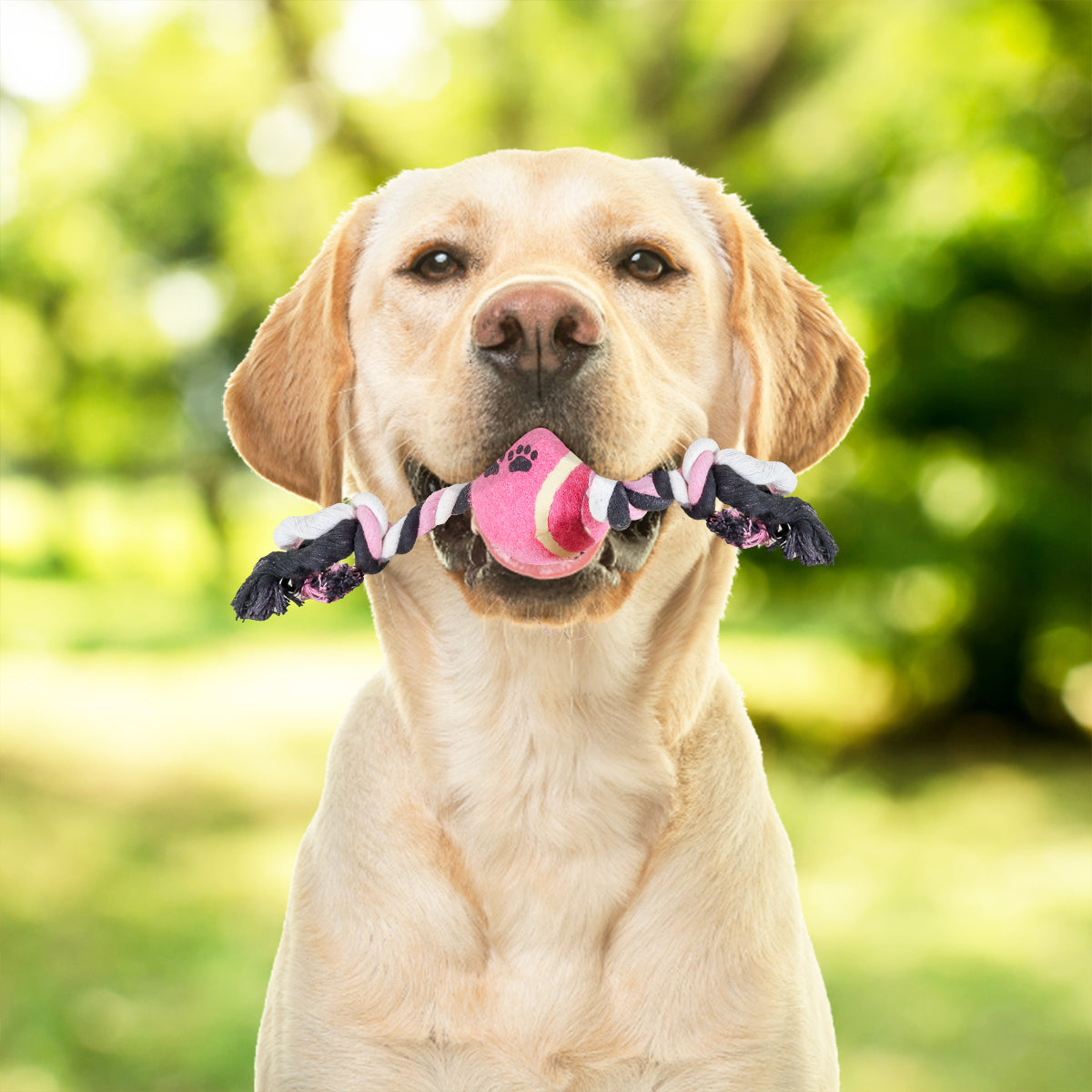 Juguete de Cuerda color Rosa con Negro para Mascota con Pelota de Tenis