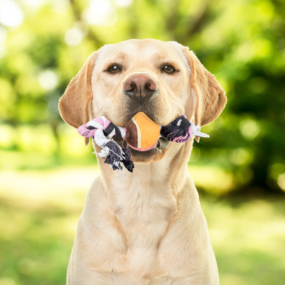 Juguete de Cuerda color Rosa con Negro para Mascota con Pelota de Tenis