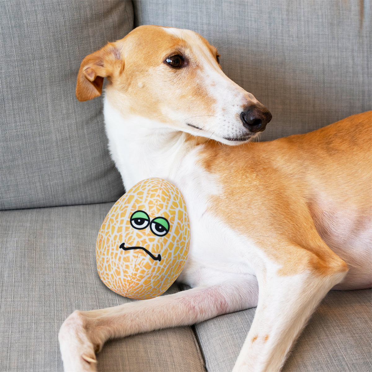 Juguete para Mascotas en Forma de Melón