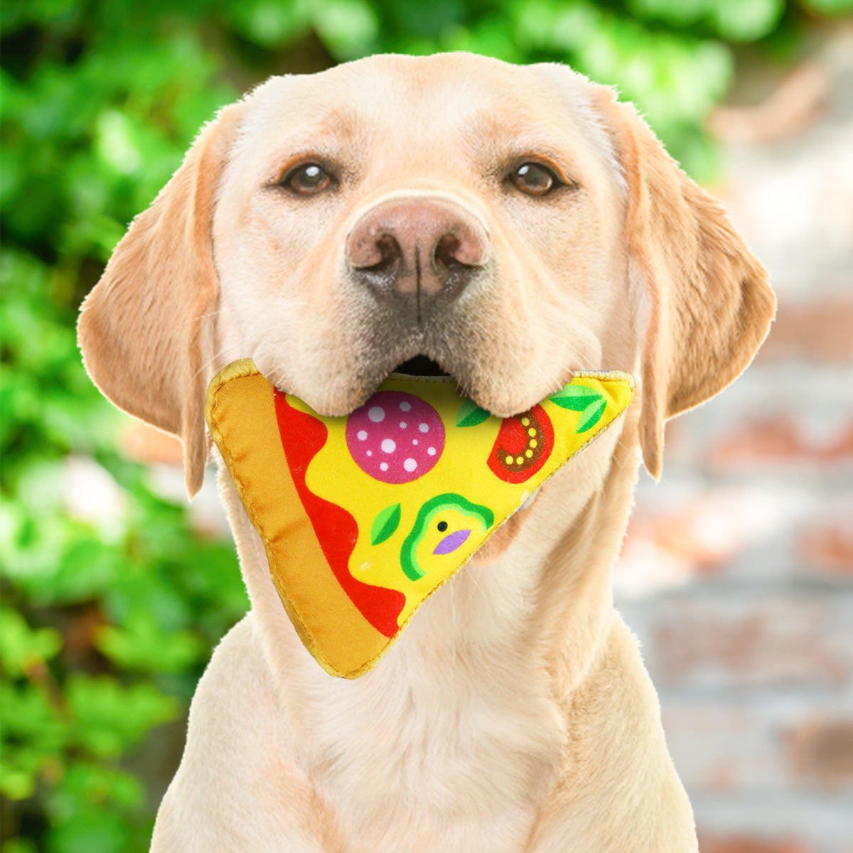 Peluche de Pizza para Mascotas