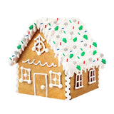 Kit Casita de Galleta de Jengibre, 170 gr