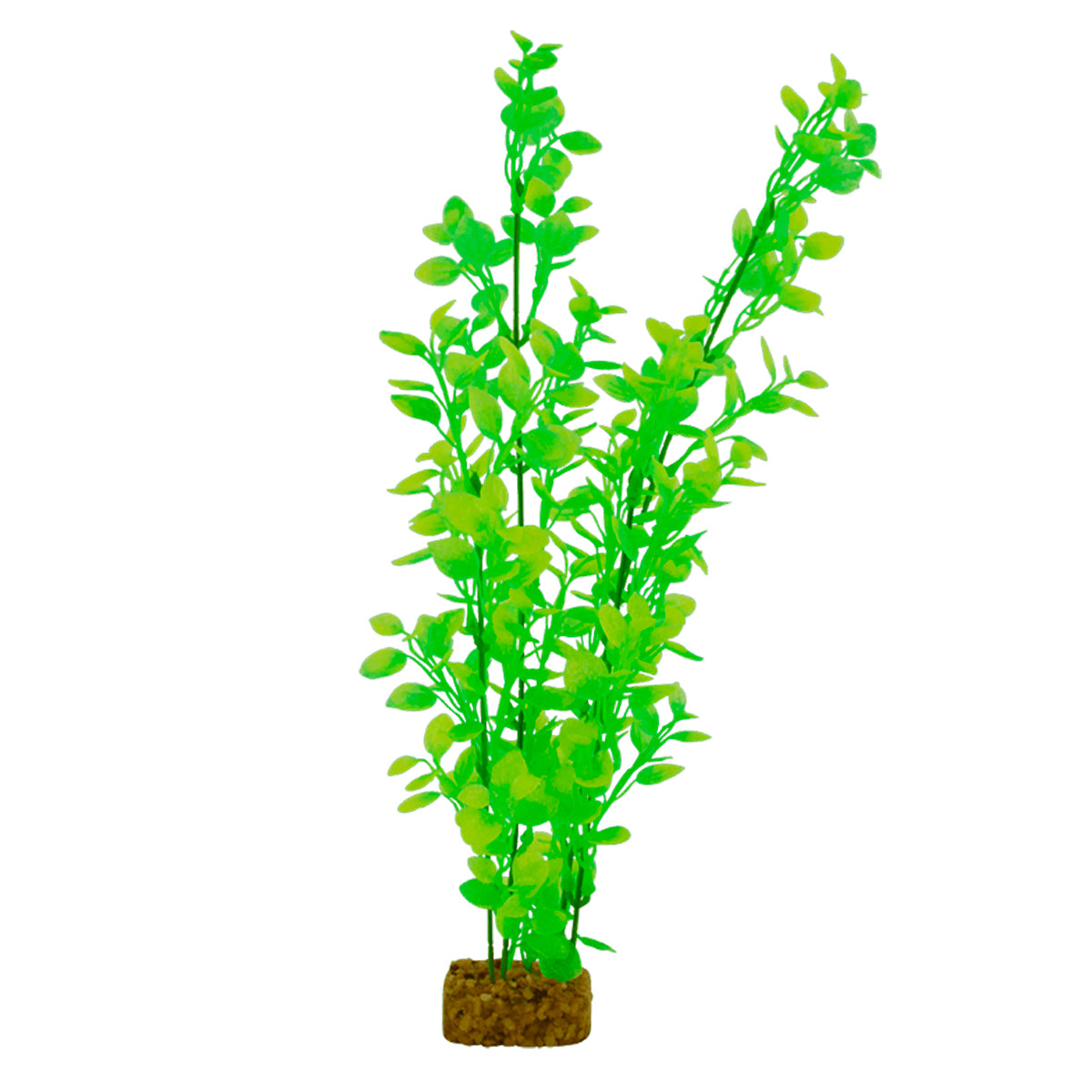 Planta color Verde Amarillo para Acuarios, GloFish