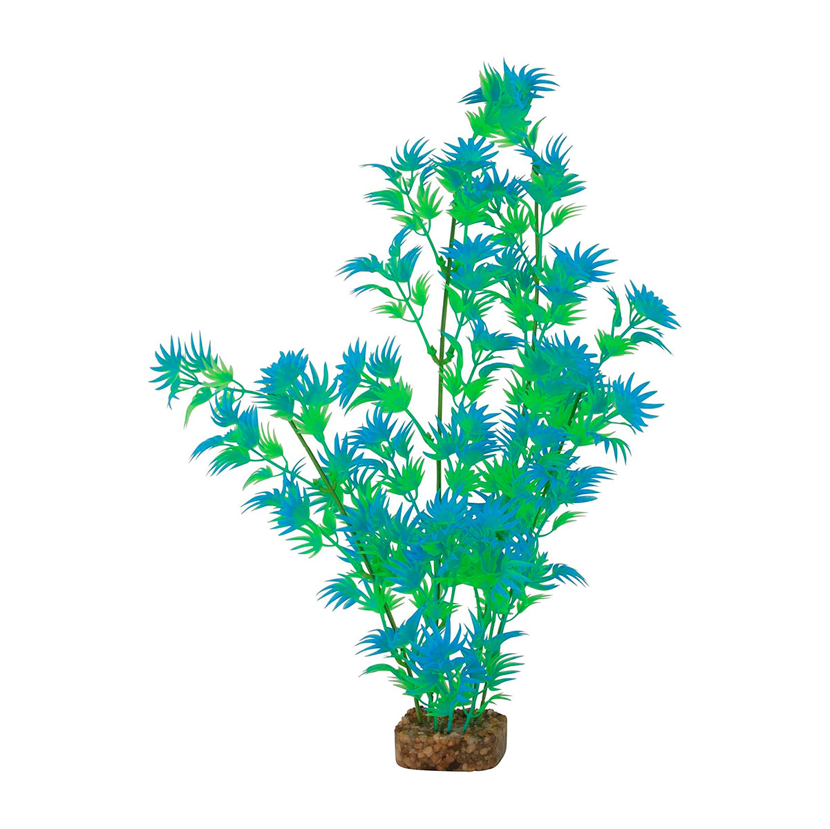 Planta color Verde con Azul para Acuarios, GloFish