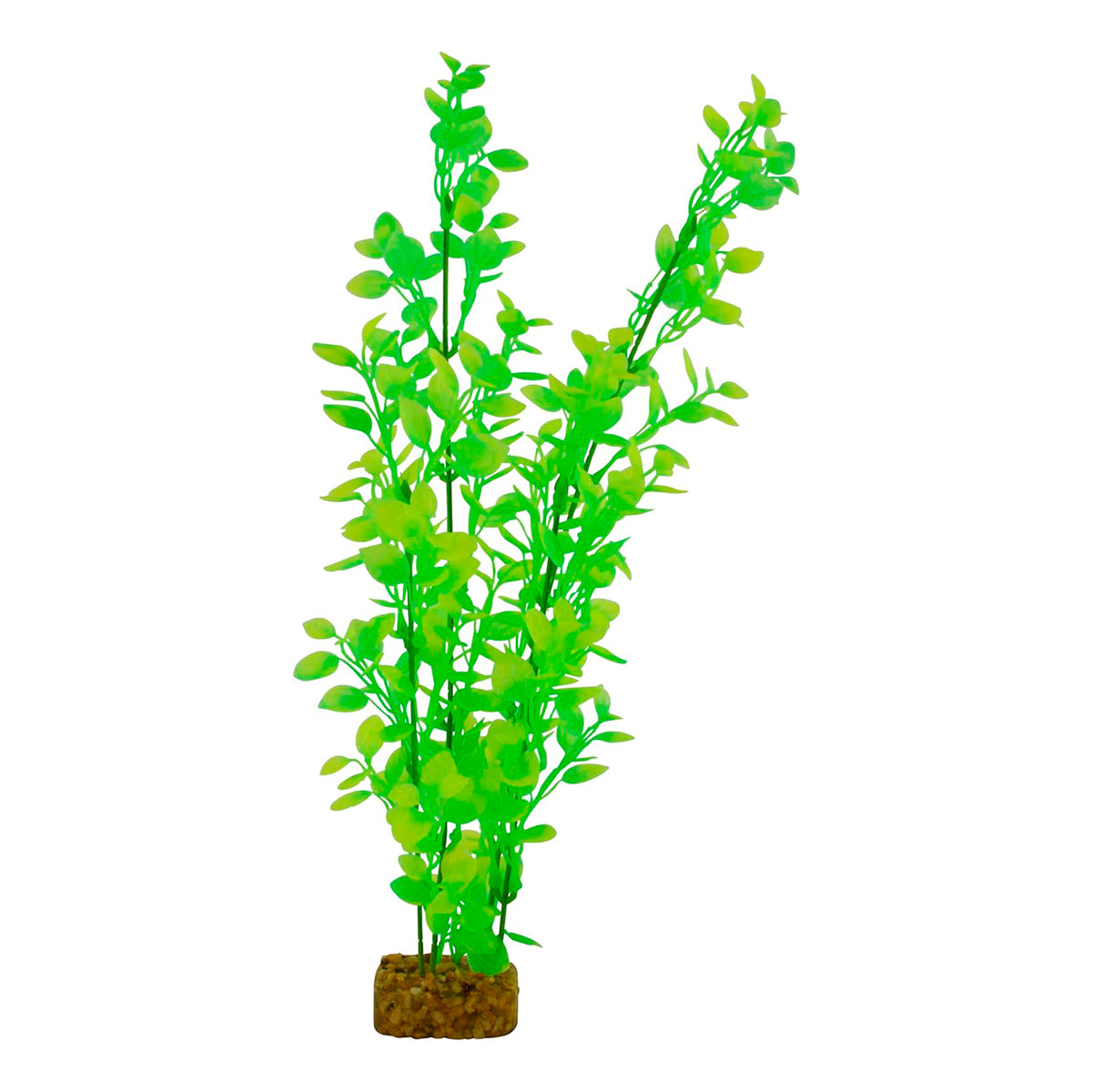 Planta color Verde con Amarillo para Acuarios, GloFish