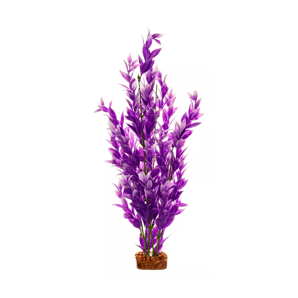 Planta color Morado con Blanco para Acuarios, GloFish