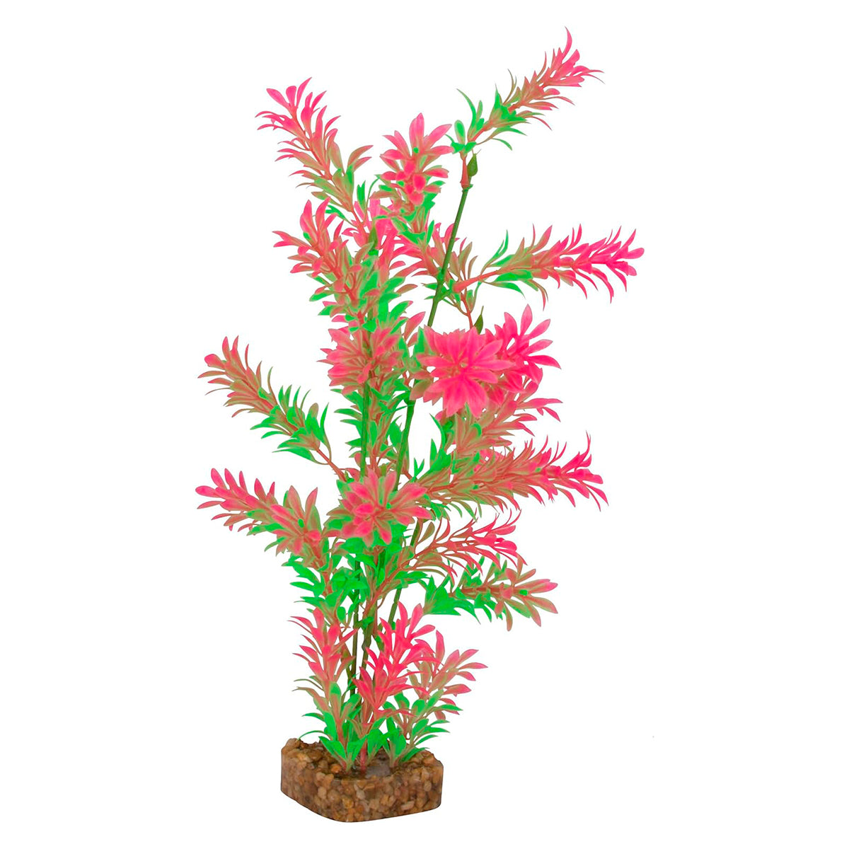 Planta color Rosa para Acuarios, GloFish