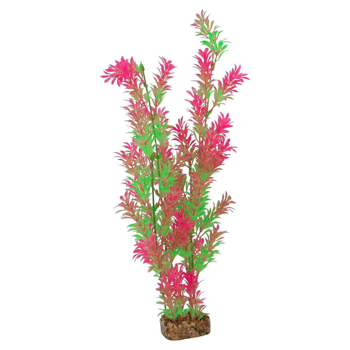 Planta color Verde con Rosa para Acuarios, GloFish