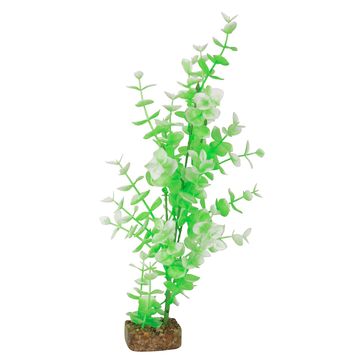 Planta color Verde con Blanco para Acuarios, GloFish