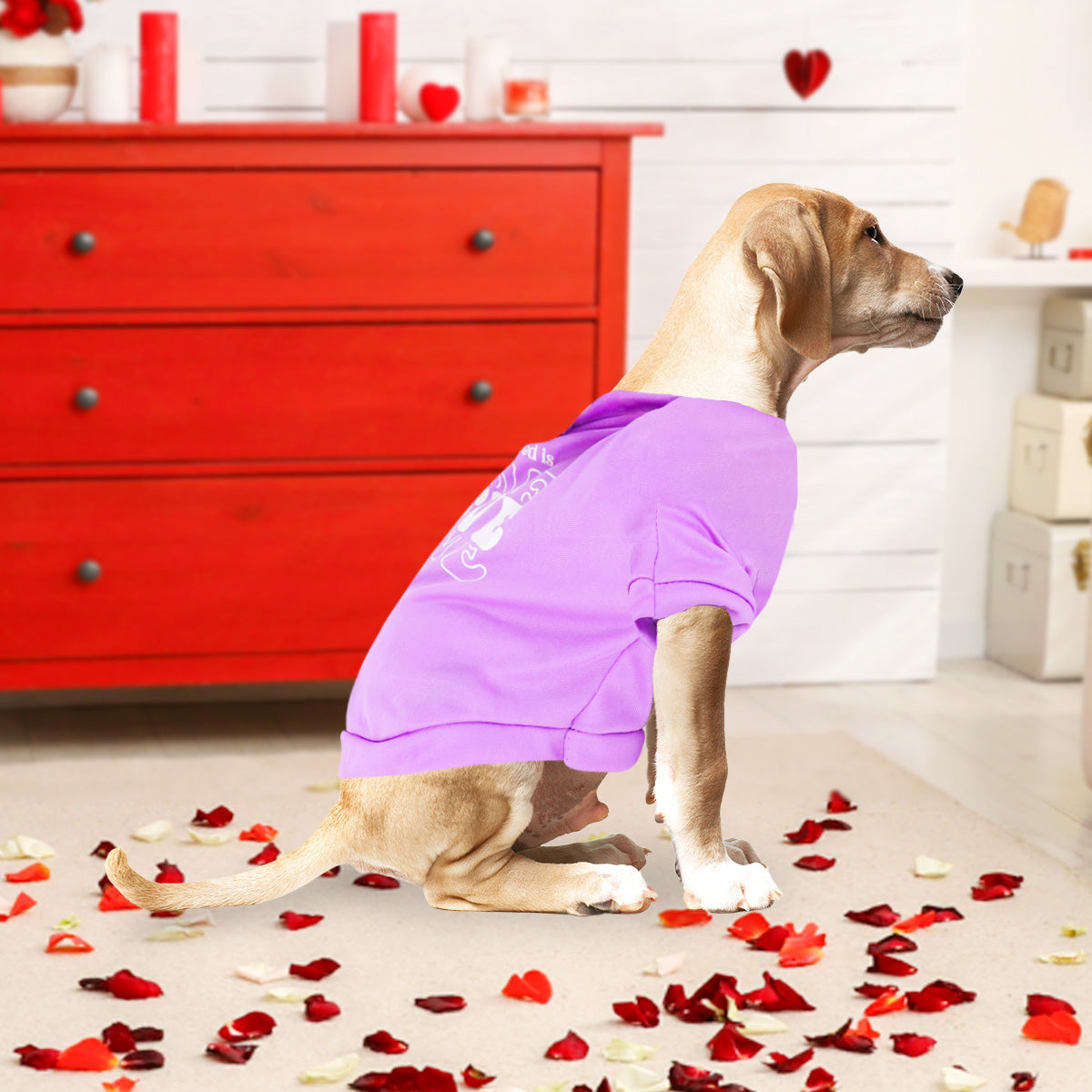 Playera para Mascota, Love