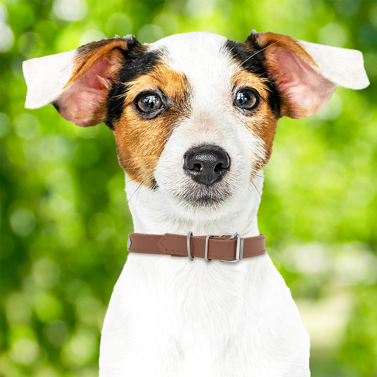 Collar Sintético con Decoración de Estoperol para Mascota