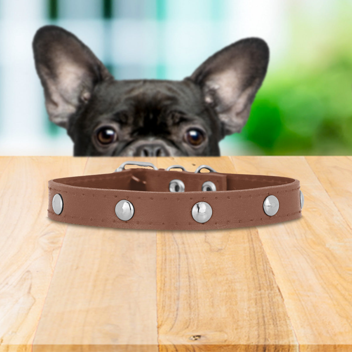 Collar Sintético con Decoración de Estoperol para Mascota