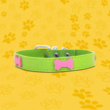 Collar Sintético color Verde para Mascota