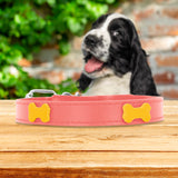 Collar Sintético con Decoración de Huesitos para Mascota