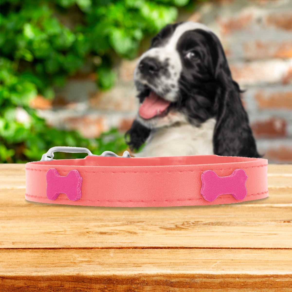 Collar Sintético con Decoración de Huesitos para Mascota