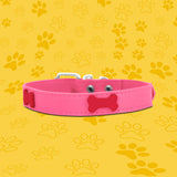 Collar Sintético color Rosa para Mascota