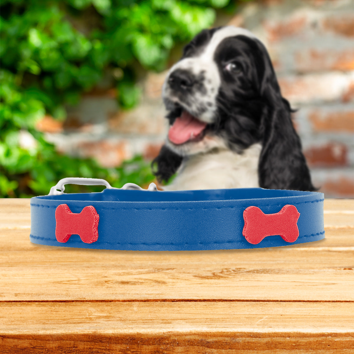 Collar Sintético con Decoración de Huesitos para Mascota