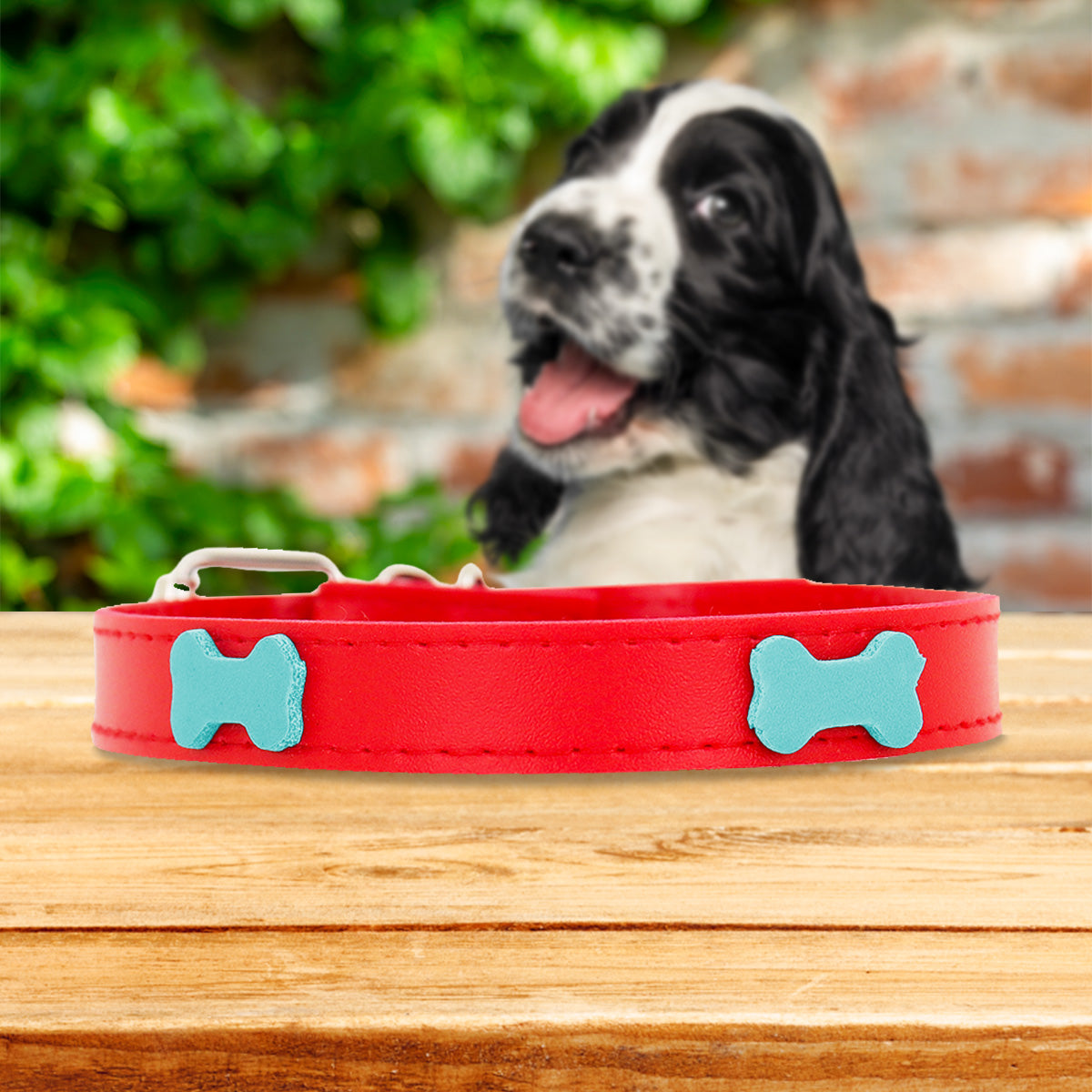 Collar Sintético con Decoración de Huesitos para Mascota