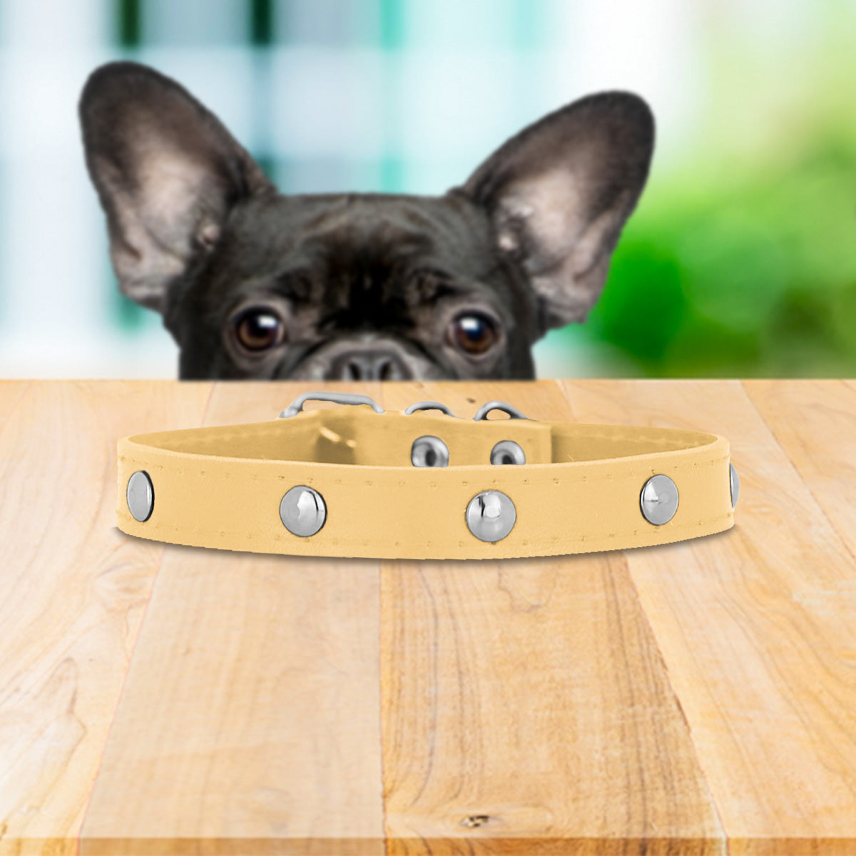 Collar Sintético con Decoración de Estoperol para Mascota