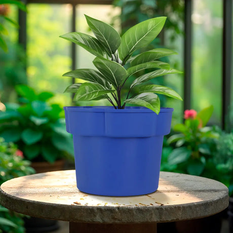 Maceta de Plástico, Color Azul Rey, 12x15 cm