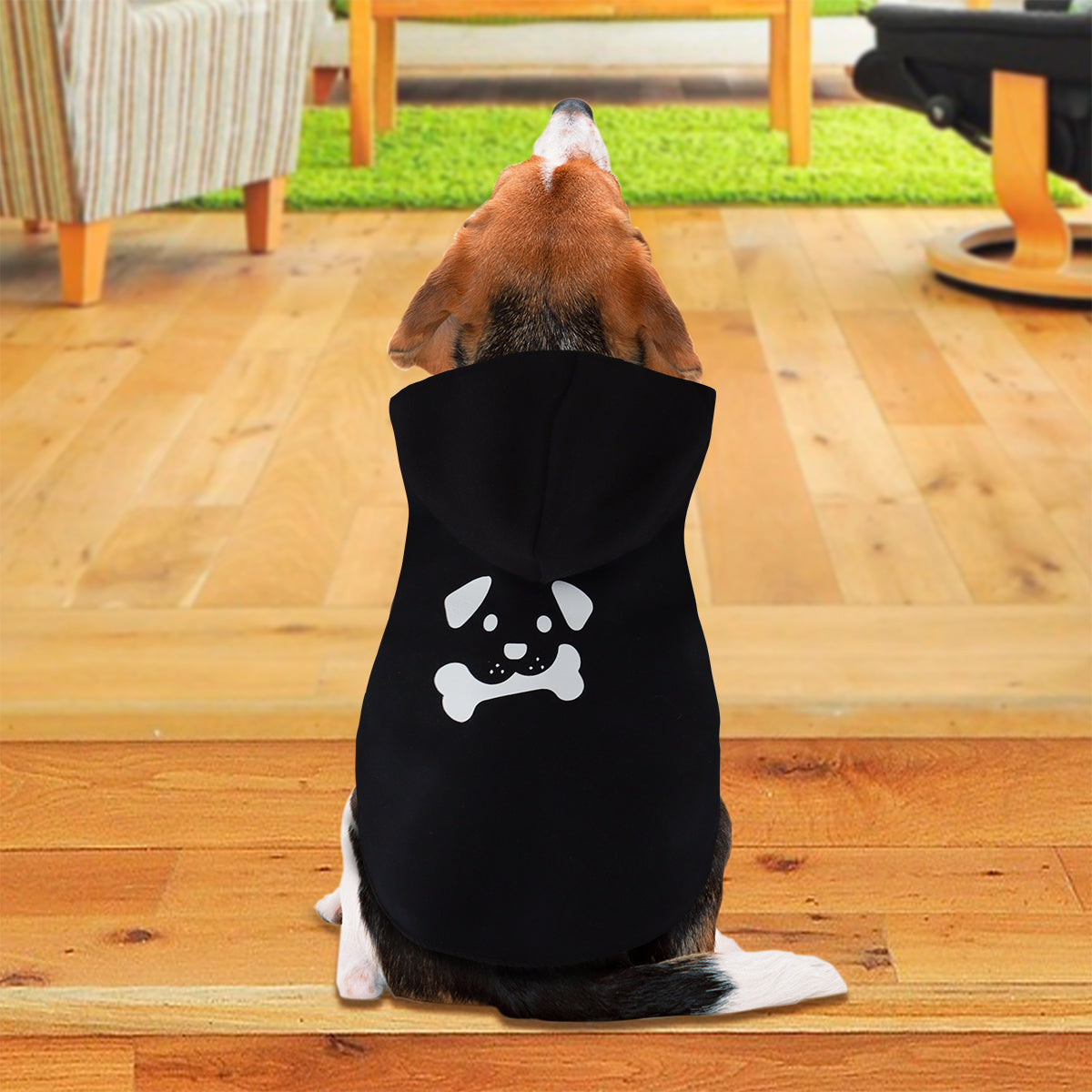 Sudadera color Negro para Mascota