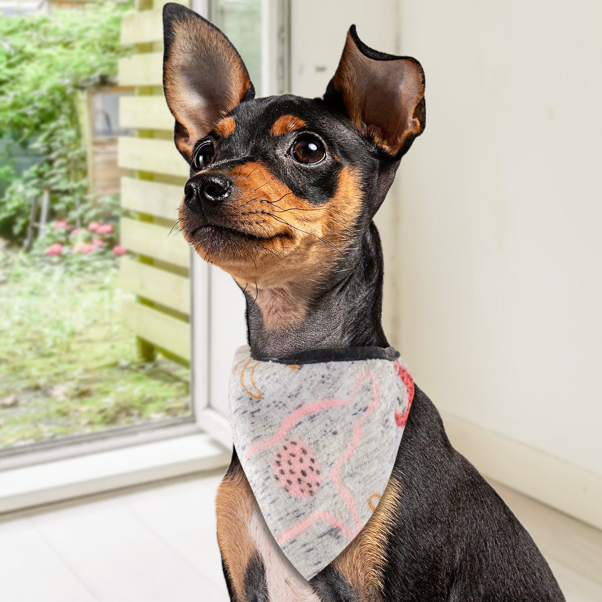 Pashmina para Mascotas, color Gris