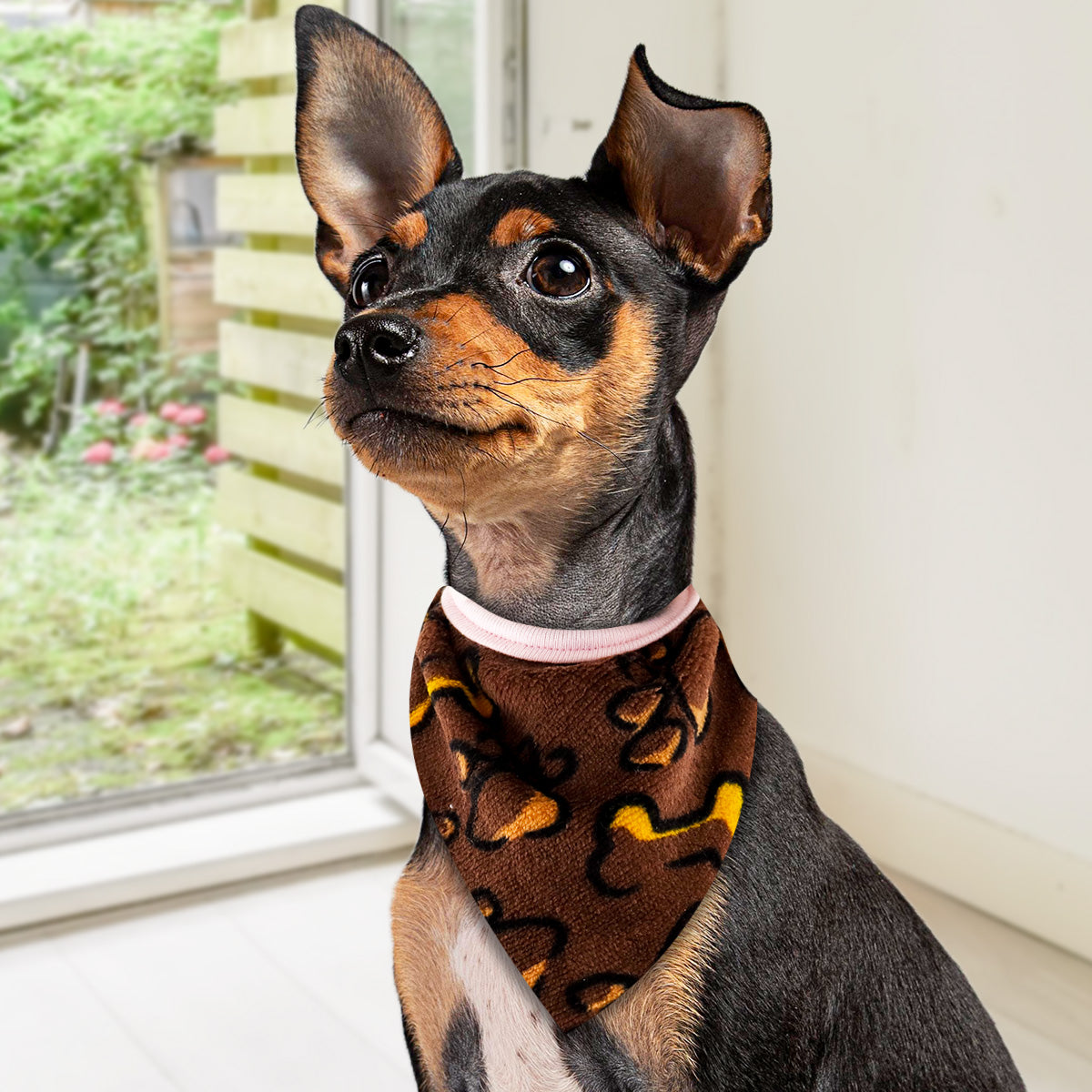 Pashmina para Mascotas con Diseño de Huellitas, color Chocolate